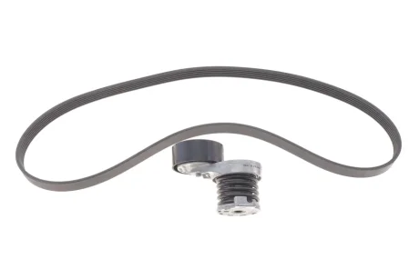 Комплект полікліновий (ремінь+ролики))) INA 529 0339 10