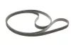 Комплект ременя генератора Land Rover Discovery/Range Rover Sport I 2.7D/3.0D 04-18 (6PK2100) INA 529 0422 10 (фото 2)