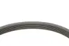 Комплект ременя генератора Land Rover Discovery/Range Rover Sport I 2.7D/3.0D 04-18 (6PK2100) INA 529 0422 10 (фото 3)