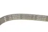 Комплект ременя генератора Land Rover Discovery/Range Rover Sport I 2.7D/3.0D 04-18 (6PK2100) INA 529 0422 10 (фото 4)