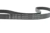 Комплект ременя генератора Audi A3/Seat Leon/Skoda Octavia/VW Caddy/Passat B6 1.6-2.0 03- (6PK1043) INA 529 0429 10 (фото 4)