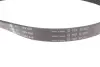Комплект ременя генератора Ford Focus 2.5 ST 05-12, (5PK890 + 5PK848) INA 529 0477 10 (фото 3)