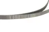Комплект ременя генератора BMW X1 (F48) 15- B38 A15 INA 529 0516 20 (фото 4)