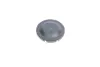 Комплект ременя генератора Audi A4/A5/A//Q7/Q8 15-/VW Touareg 3.0TDI 18- (6PK2460) INA 529 0538 10 (фото 17)