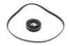 Комплект ремня генератора BMW 3 (F30/F80/G30/F)/5 (G30/F90/G31)/X3 (G01/F97) 2.0 15- B48 INA 529 0579 10 (фото 2)