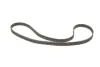 Комплект ГРМ Opel Astra F/Vectra B 1.4/1.6 16V 94-05 INA 530 0078 10 (фото 2)