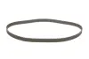 Комплект ГРМ Citroen Jumper/Jumpy/Berlingo 1.9D/TD 94-02 INA 530 0096 10 (фото 2)