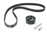 Комплект ГРМ VW Caddy II 1.4i 95-04, 44kw, (AEX, AKV, APQ) INA 530 0166 10
