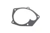 Комплект ГРМ + помпа Renault Kangoo 1.5dCi 03- (27x123z), K9K 700/702/704/710/714/716/718/800/802 INA 530 0197 31 (фото 10)