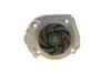 Комплект ГРМ + помпа Fiat Doblo/Palio/Panda/Punto 1.2i 96- (15x129z) INA 530 0206 30 (фото 6)