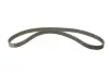 Комплект ГРМ Citroen C5/Peugeot 406 2.2 HDi 01- INA 530 0234 10 (фото 2)