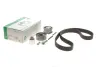 Комплект ГРМ Skoda Octavia II/VW Golf V/Passat B6 2.0TDI (141x30) INA 530 0463 10