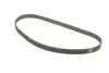 Комплект ГРМ Suzuki Grand Vitara/Vitara 2.0 TD 94-03 INA 530 0599 10 (фото 2)