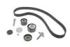Комплект ГРМ Renault Megane/Scenic 1.6 16V 02-, (K4M) INA 530 0639 10 (фото 2)