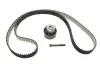 Комплект ГРМ Land Rover Discovery IV/V 3.0 D/SDV6/TD 4x4 09- (195x29) INA 530 0850 10 (фото 2)