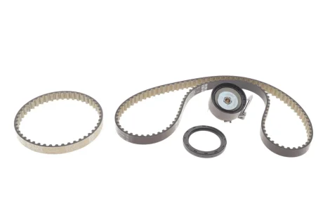 Комплект ГРМ Ford Focus III/Fiesta VI/VII 1.0 12- INA 530 0960 10