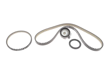 Комплект (ремінь+ролики) INA 530 0961 10