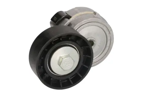 Натяжник ременя генератора Iveco/Renault Mascott 2.8DTI 99- INA 531 0480 10