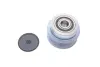Шків генератора Volvo S60 II-III/S80 II/S90 II/V40/V60 I-II/V70 III/XC60 II/XC70 II 13- INA 535 0367 10 (фото 1)