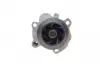 Помпа води VW Caddy II 1.9TDI/SDI (9K9A), 11/95 - 01/04, 47/66kw INA 538 0006 10 (фото 5)