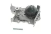 Помпа води Renault Kangoo/Megane 1.4i 96-, z=20, 52/55kw, E7J 624/626/764 INA 538 0022 10 (фото 1)
