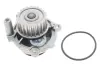 Помпа води VW Caddy III 1.6/BiFuel 04-15 (23z), BGU, BSE, BSF, CHGA INA 538 0088 10 (фото 2)