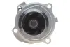 Помпа води VW Caddy III 1.6/BiFuel 04-15 (23z), BGU, BSE, BSF, CHGA INA 538 0088 10 (фото 3)