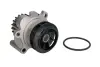 Помпа води VW Caddy III 2.0TDI 07-10/Golf IV 1.9TDI 98- (19z) INA 538 0089 10