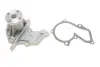 Помпа води Ford Fiesta/Focus 1.0-1.6 96-/Volvo S40/V50 1.6 05-12 INA 538 0288 10 (фото 2)
