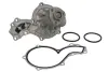 Помпа води Audi A4/A6/VW Passat 1.8T 95-, AFY/ADR/APT/ARG/AEB/ANB/APU INA 538 0353 10 (фото 2)