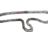 Комплект ланцюга ГРМ Ford Transit 2.2/2.4/3.2TDCi 06-14 INA 558 0062 10 (фото 7)