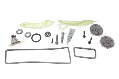 Комплект ланцюга INA 559010450