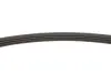Ремень генератора Nissan Primera 1.6 16V 94-01/Mitsubishi Colt 1.5 05-12 (4PK805) INA FB 4PK805 (фото 3)
