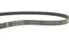 Ремень генератора Nissan Primera 1.6 16V 94-01/Mitsubishi Colt 1.5 05-12 (4PK805) INA FB 4PK805 (фото 4)