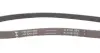 Ремінь генератора Citroen Berlingo 1.1-1.4 96-/ Subaru Forester/ Impreza/ Legacy 1.6-2.5 92-09 INA FB 5PK880 (фото 2)