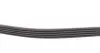 Ремінь генератора Citroen Berlingo 1.1-1.4 96-/ Subaru Forester/ Impreza/ Legacy 1.6-2.5 92-09 INA FB 5PK880 (фото 3)