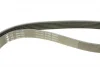 Ремінь генератора Citroen Jumper/Peugeot Boxer 2.0 94-, (XU10J2), (+AC) INA FB 6PK1093 (фото 4)