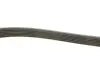Ремінь генератора Citroen Jumpy/Peugeot 3008/5008/Expert 2.0BlueHDi 16- (6PK1230) INA FB 6PK1230 (фото 3)