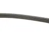Ремінь генератора Hyundai i30/ Tucson/ ix20 1.4i-1.6 07-/ Kia Cee\&#039;d/Picanto/ Soul 1.0-1.6 06- INA FB 6PK1255 (фото 2)
