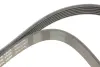 Ремінь генератора Ford Focus 1.8 TDCi 05-12/Skoda Octavia 1.4 i 99-01 (6PK1520) INA FB 6PK1520 (фото 4)