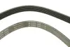 Ремінь генератора Ford Escort 1.4-1.8 92-00/Renault Laguna 1.8 93-01/VW Golf II/Passat B3/B4 88-97 INA FB 6PK1653 (фото 4)