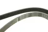 Ремінь генератора Ford Escort 1.4-1.8 92-00/Renault Laguna 1.8 93-01/VW Golf II/Passat B3/B4 88-97 INA FB 6PK1653 (фото 5)