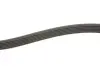 Ремінь генератора Citroen Berlingo 1.6HDI 06-/Fiat Ducato/Doblo 2.0D 10-/Scudo 1.6D 07- (6PK1705) INA FB 6PK1705 (фото 3)