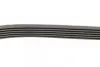 Ремінь генератора Opel Combo/Astra/Vectra/Omega 1.2-2.2 91-03/BMW 1 (E81/E87) 2.0D 04-11 INA FB 6PK1800 (фото 2)