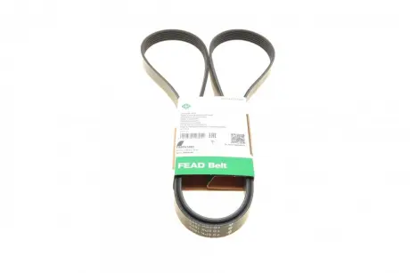 Ремінь генератора Ford Focus 1.4/1.6 98-05/Toyota Rav4 1.8 00-05/Daewoo Nubira 1.8/2.0 99- INA FB 6PK1893