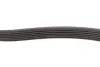 Ремінь генератора MB Sprinter CDI (-AC) (з обводним роликом) (6PK2260) INA FB 6PK2260 (фото 3)
