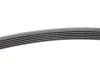 Ремінь генератора MB E-class (W210) 4.2/5.0/Audi A8 3.0D 10-18 (6PK2433) INA FB 6PK2433 (фото 2)