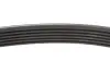 Ремінь генератора Citroen Berlingo/Peugeot Partner 1.6HDI (6PK800) INA FB 6PK800 (фото 3)