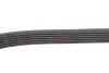 Ремінь генератора Peugeot Partner 1.6 HDI 08-/Ford Connect 1.6TDCi 13- (+AC) INA FB 6PK975 (фото 3)