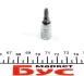 Головка 1/4" зі вставкою T25 JBM 10132 (фото 1)